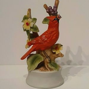Red Cardinal Shafford